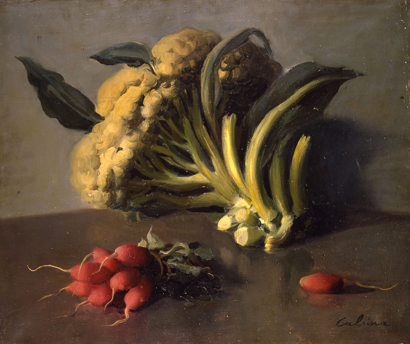 1960 Naturaleza muerta de la coliflor y los rábanos