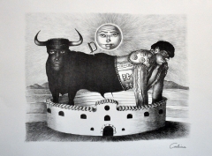 Simbiosis